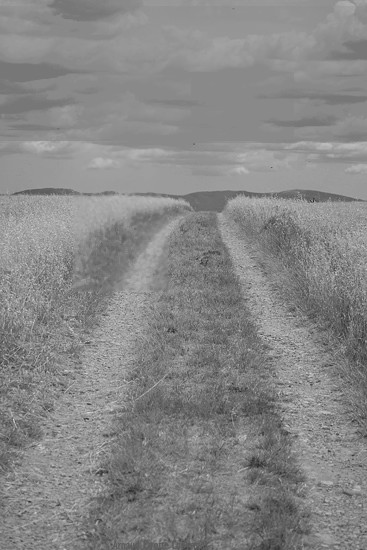 Ce chemin